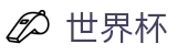 2026世界杯盘口-点燃足球梦想